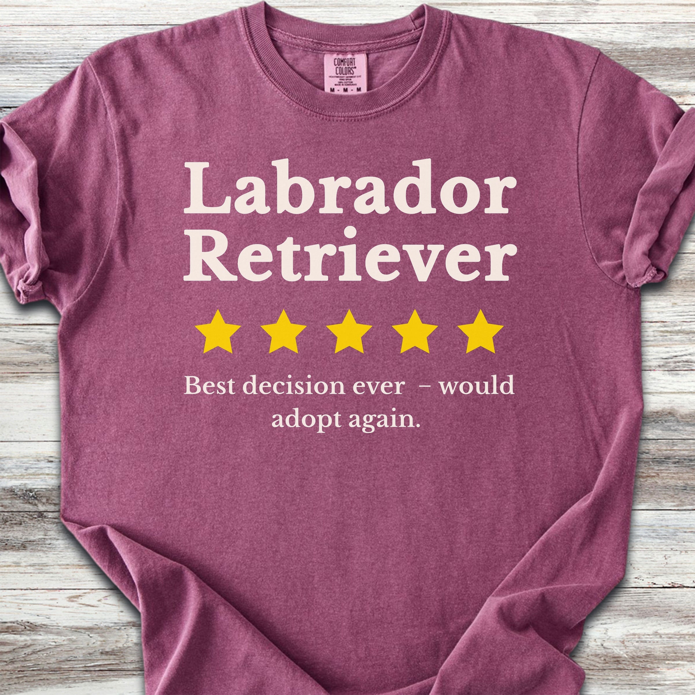 Labrador Retriever Review - Berry