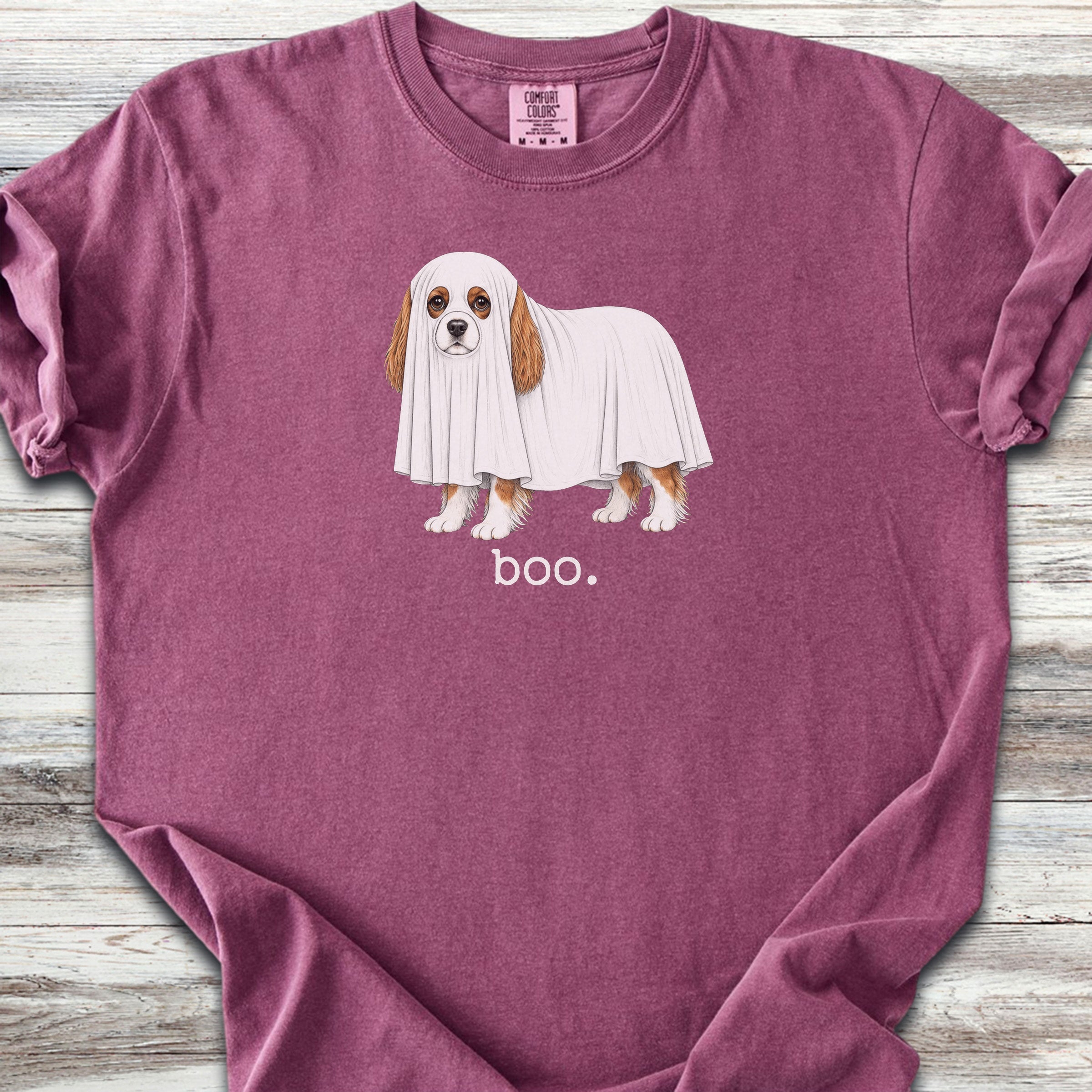 Cavalier King Charles Spaniel Boo - Berry