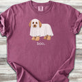 Cavapoo Boo - Berry