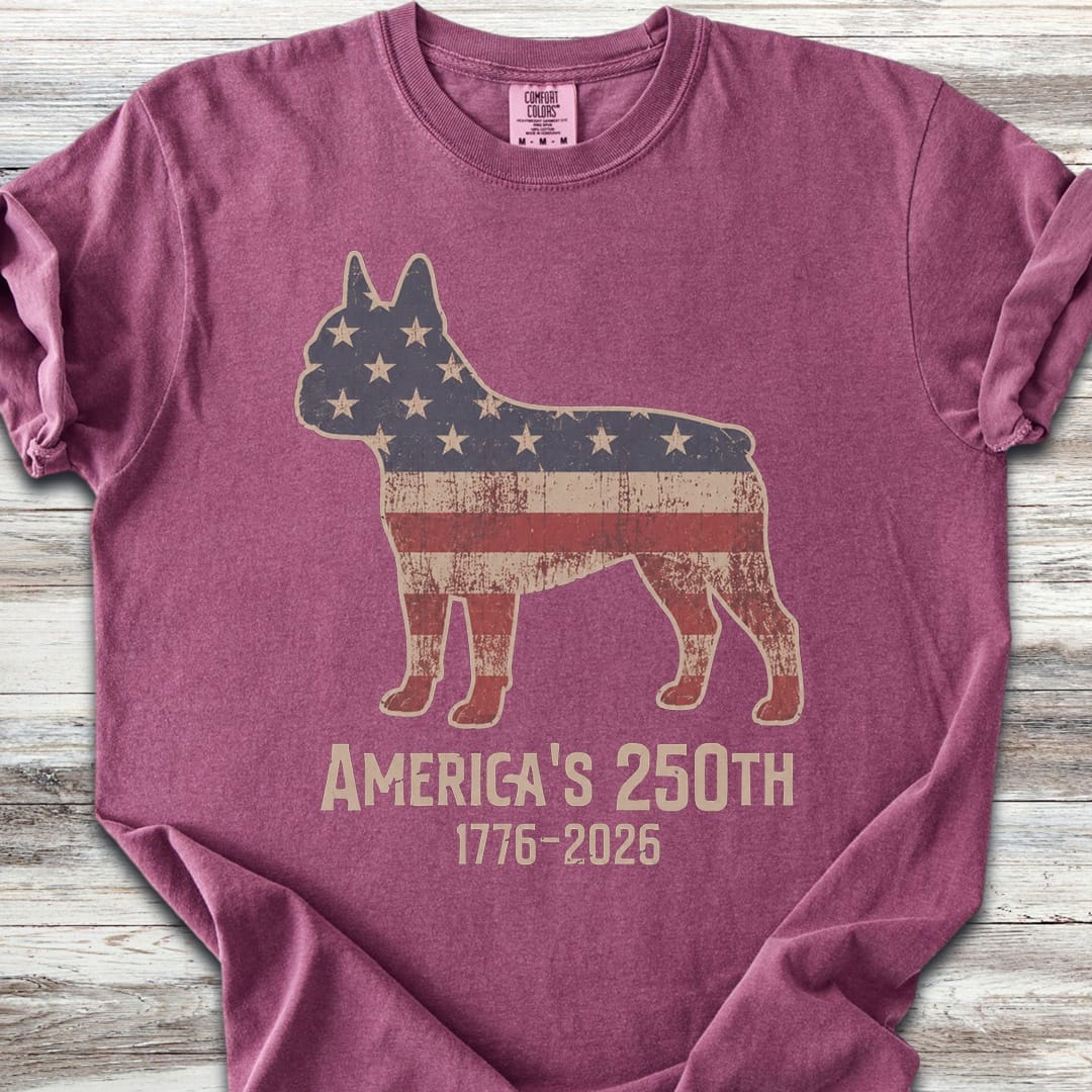 Boston Terrier 250 - Berry
