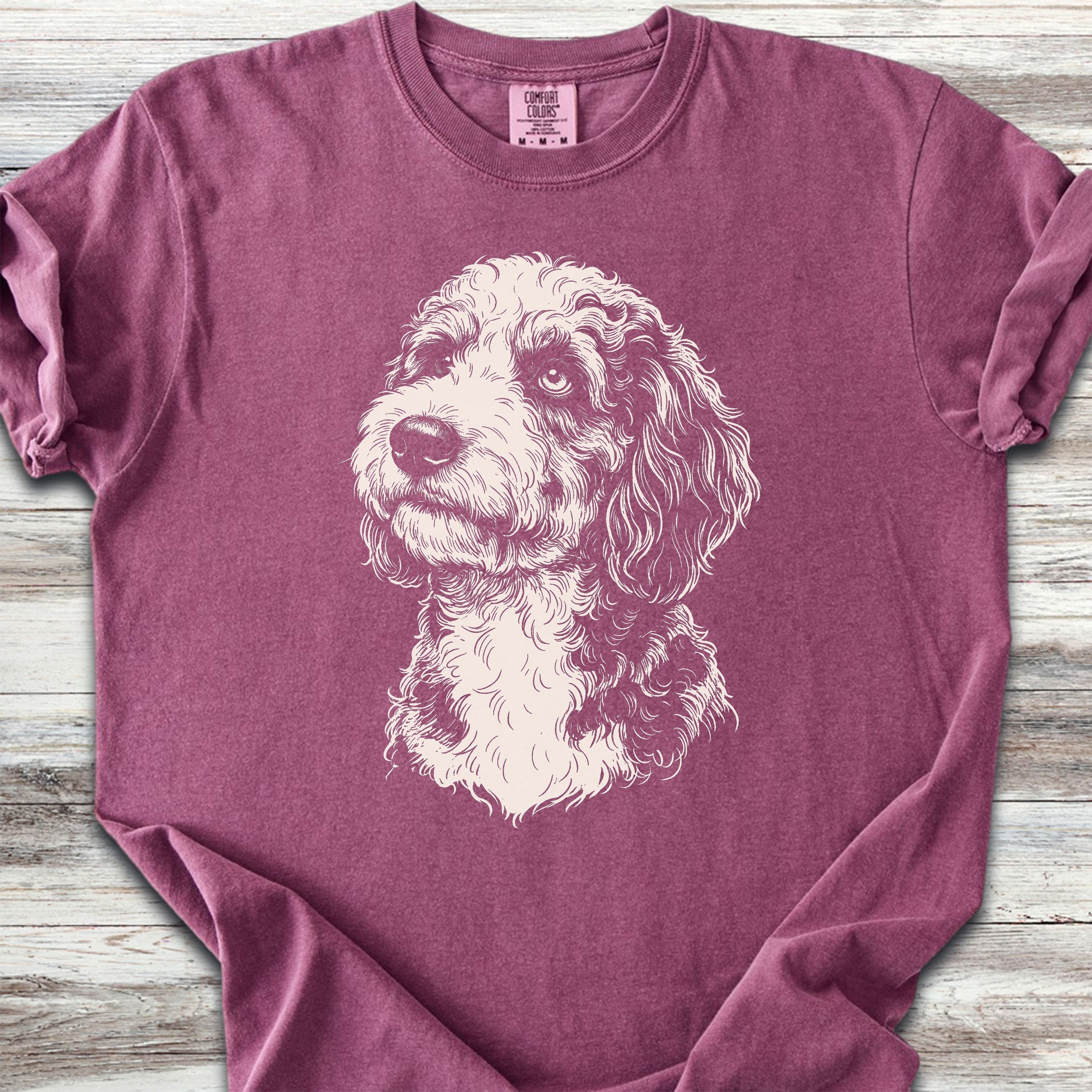 Aussiedoodle Loyalty - Berry