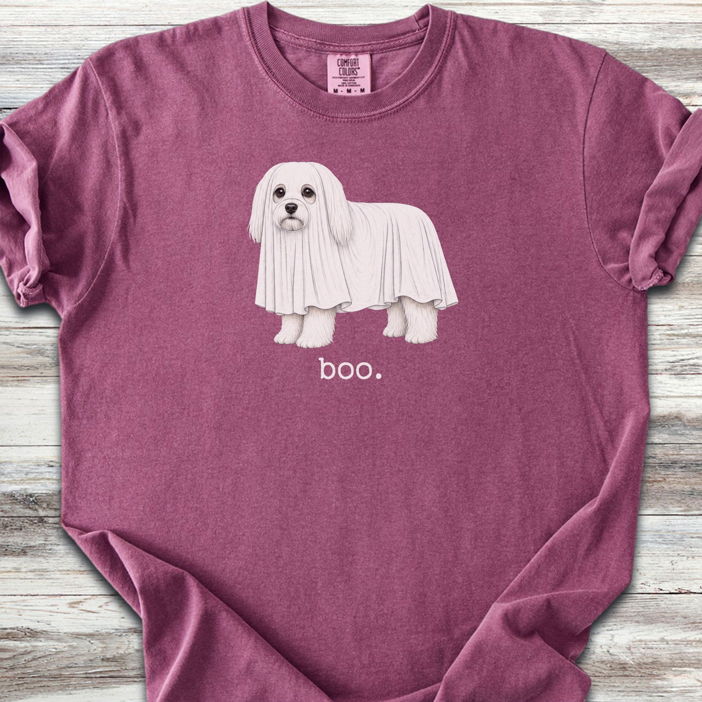 Maltese Boo - Berry