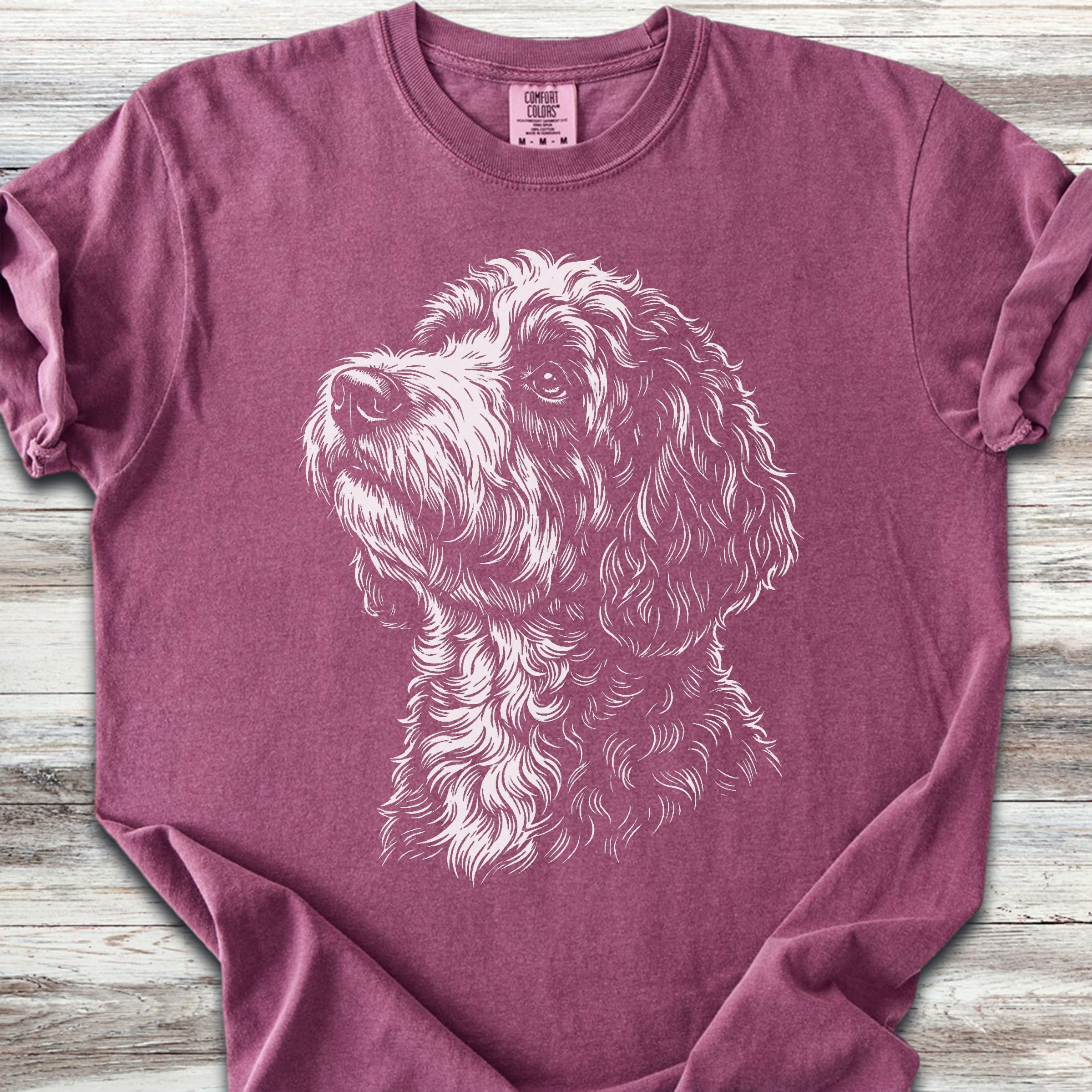 Bernedoodle Loyalty - Berry