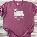 Aussiedoodle Boo - Berry