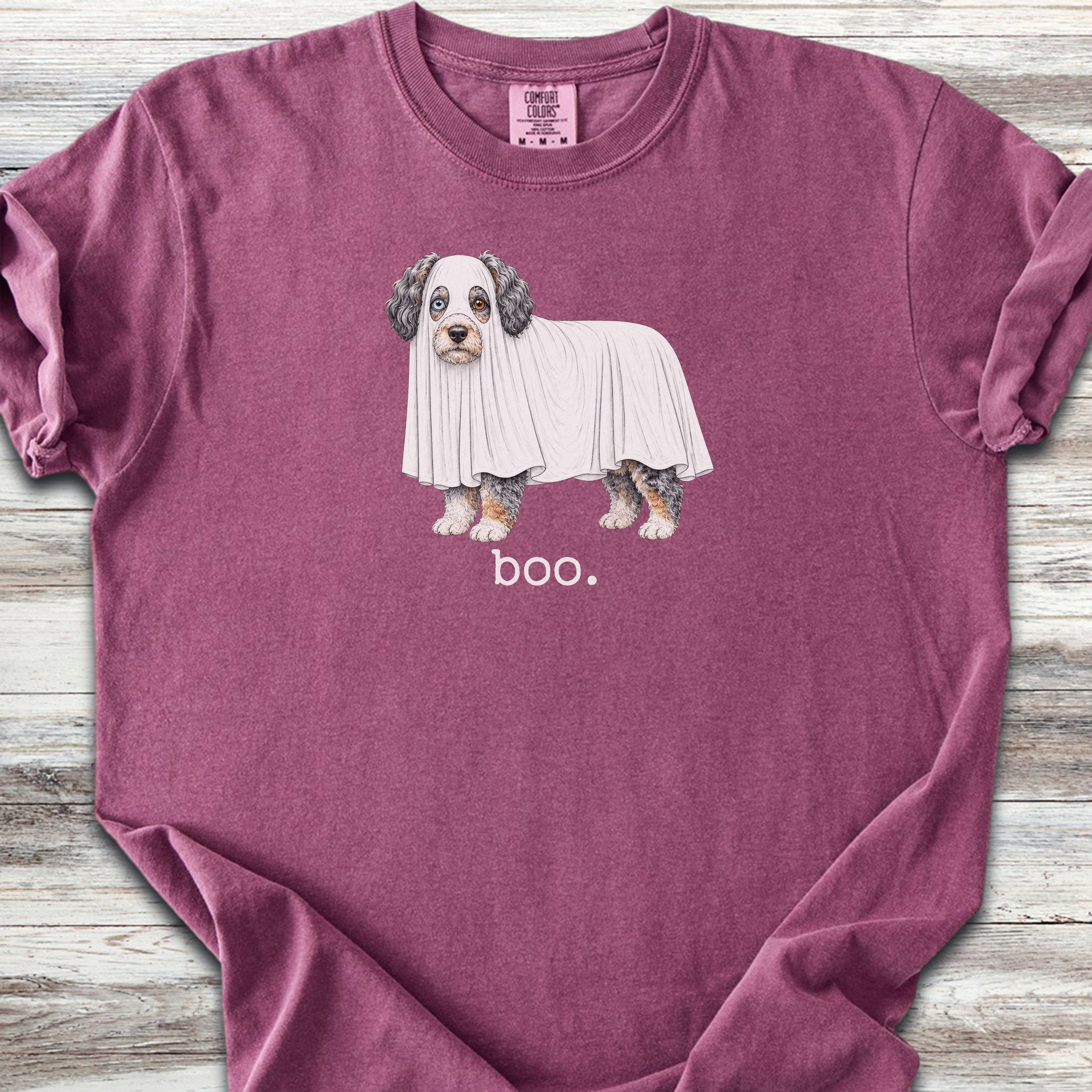 Aussiedoodle Boo - Berry