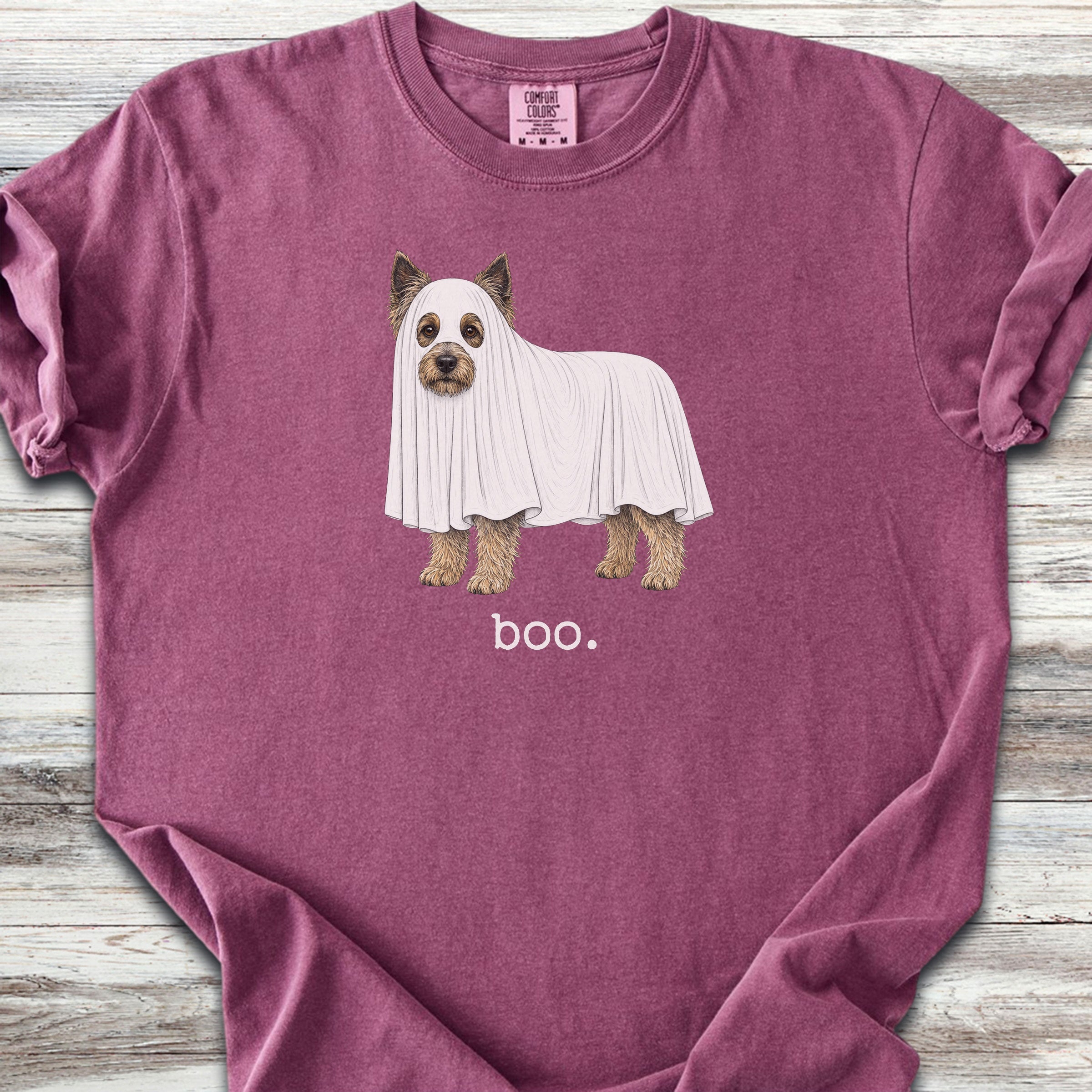 Cairn Terrier Boo - Berry