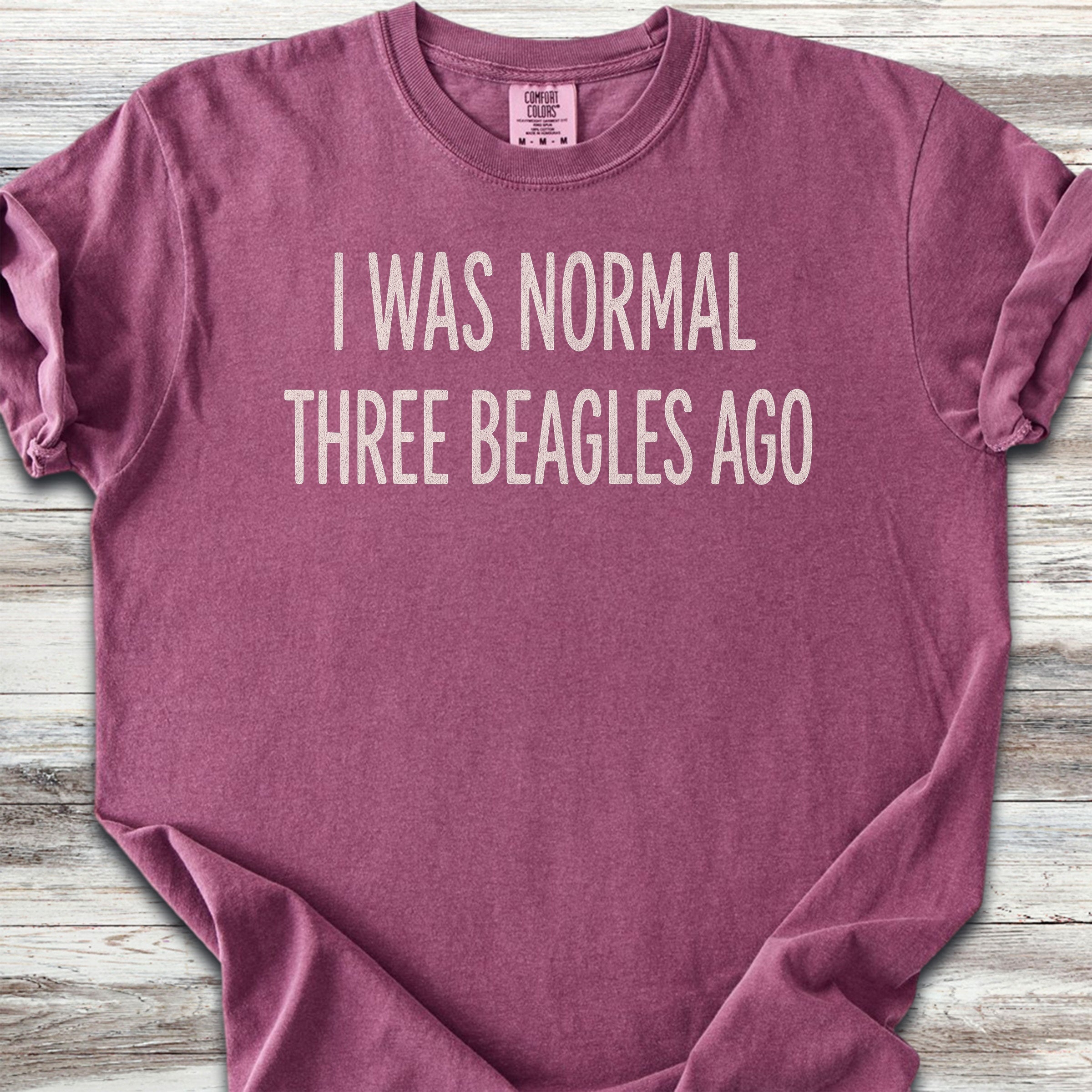 Beagle Normal 3 - Berry
