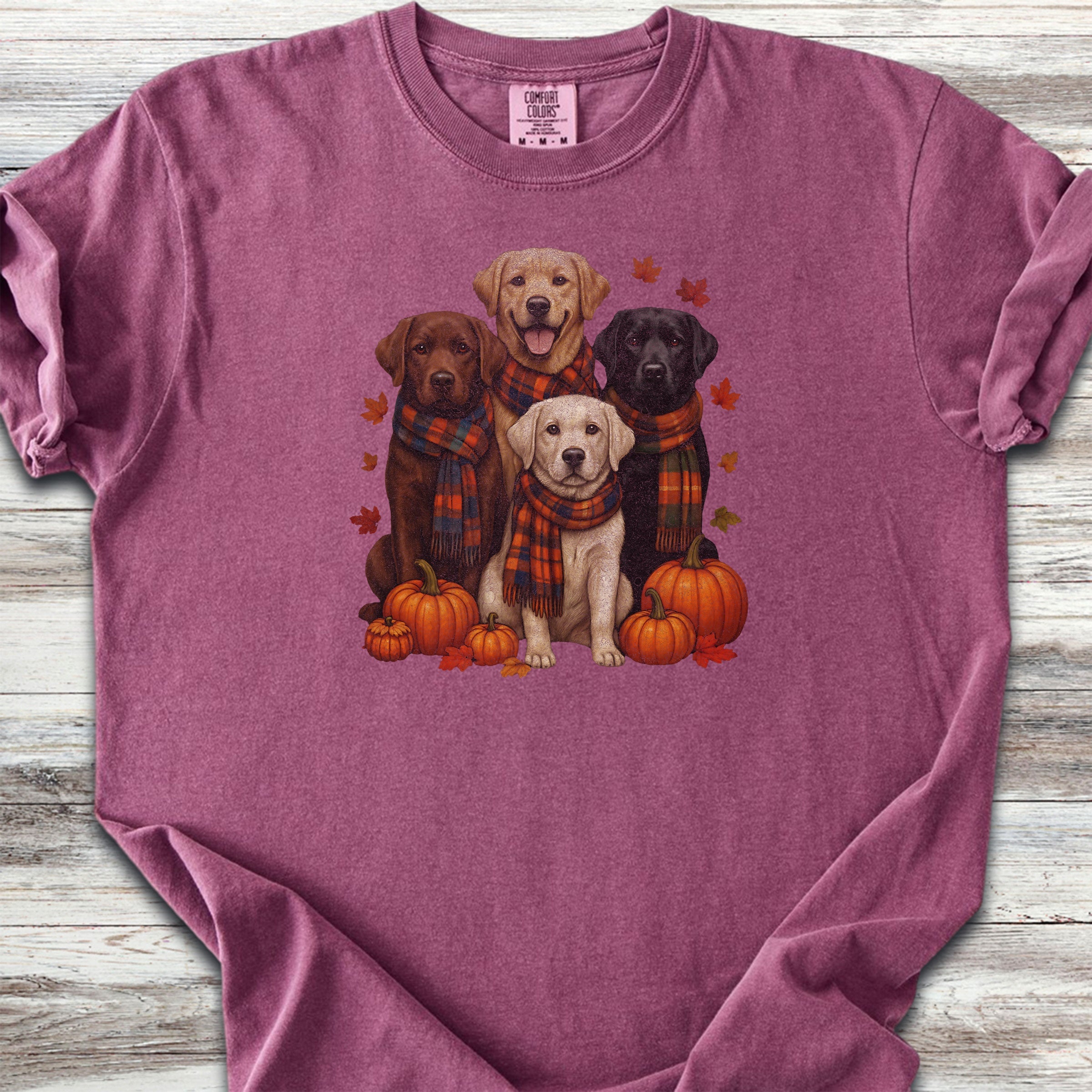 Labrador Retriever Fall - Berry