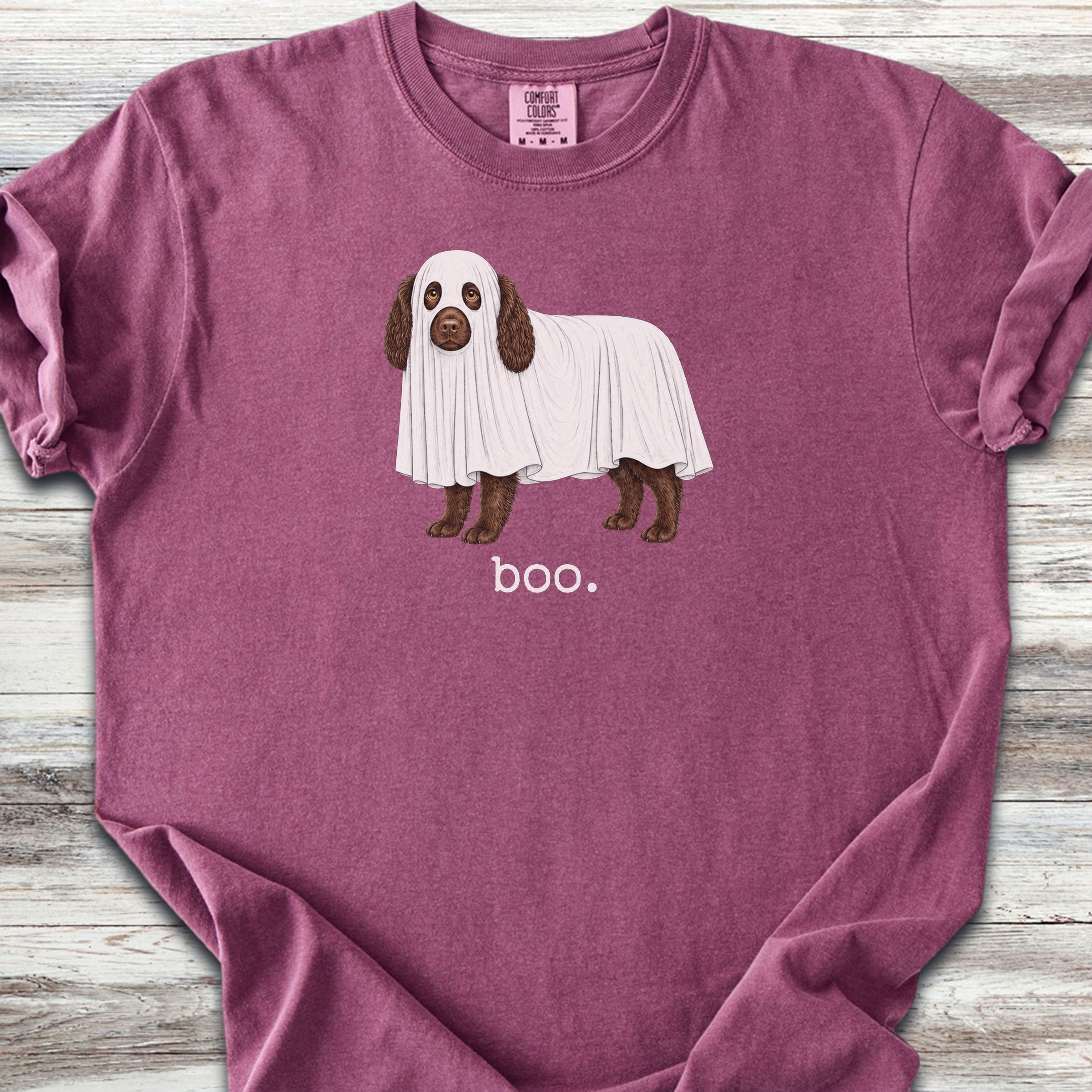 Boykin Spaniel Boo - Berry