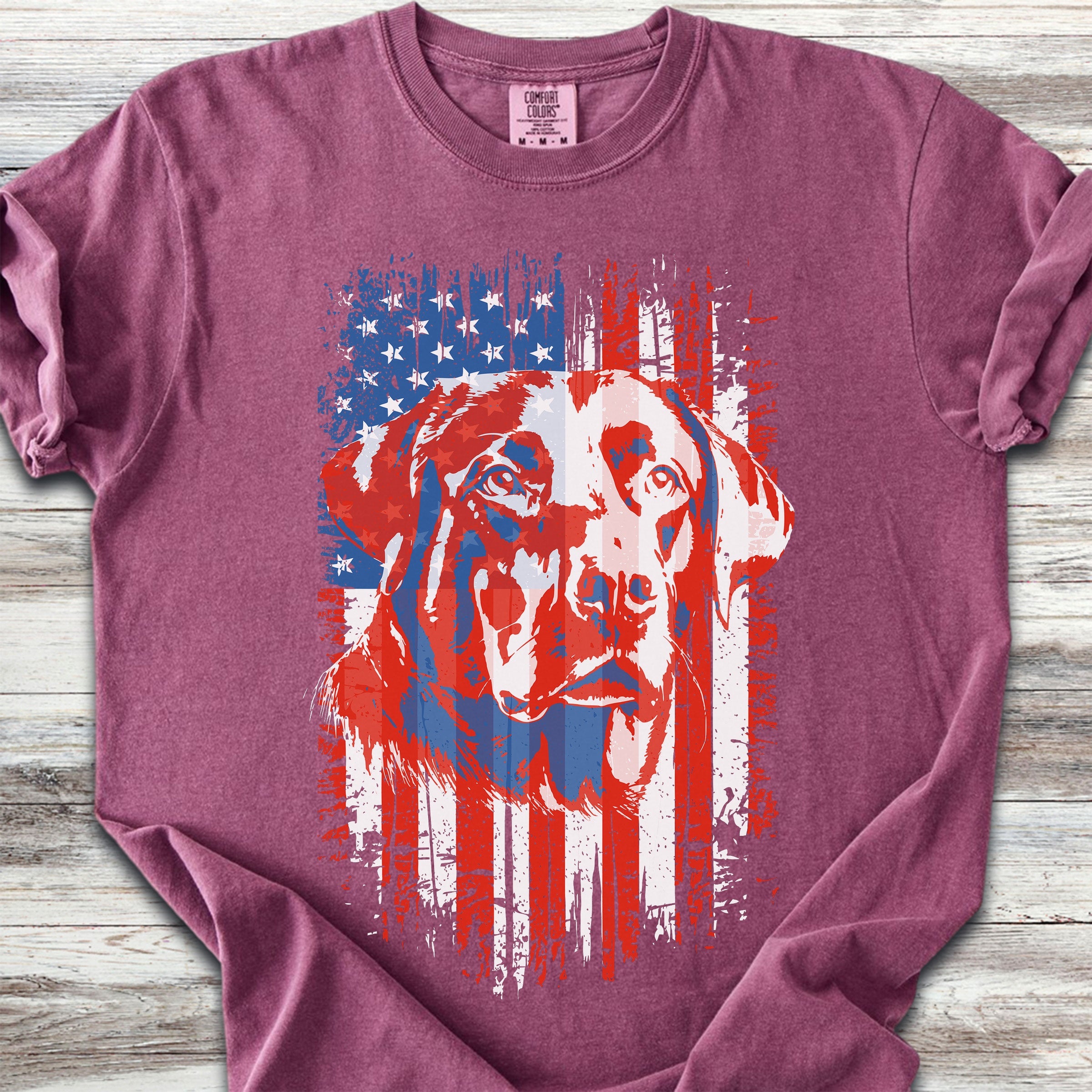 Labrador Retriever USA - Berry