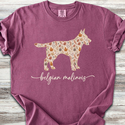 Belgian Malinois Fall - Berry