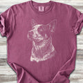 Australian Cattle Dog Loyalty - Berry