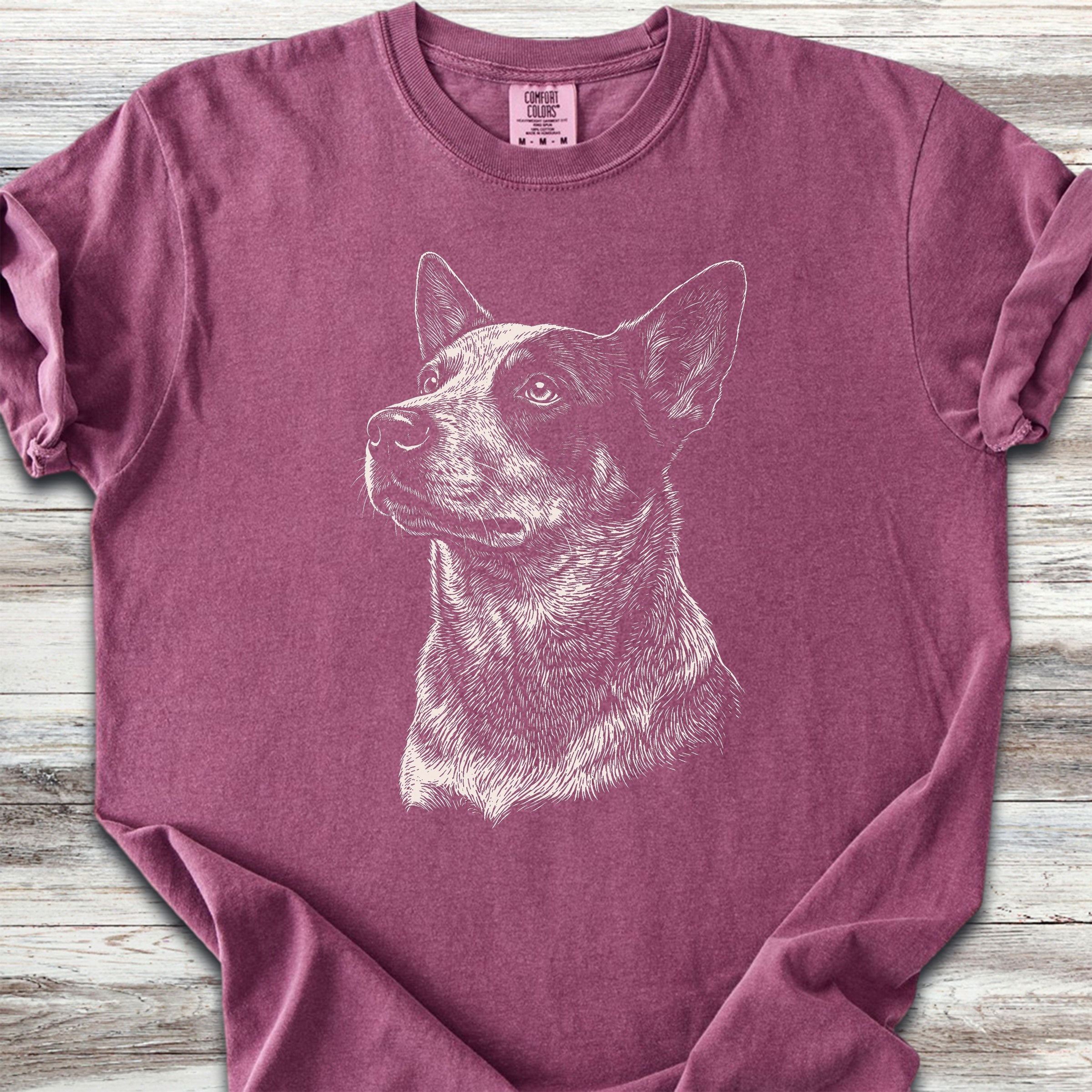 Australian Cattle Dog Loyalty - Berry