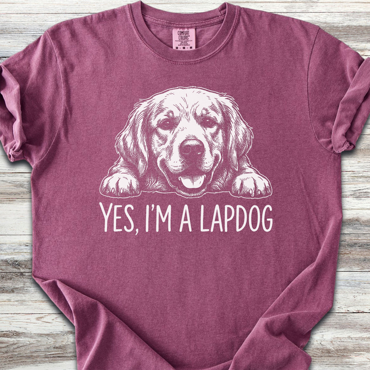 Golden Retriever Lapdog - Berry