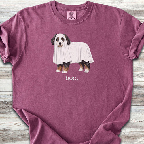 Bernedoodle Boo - Berry