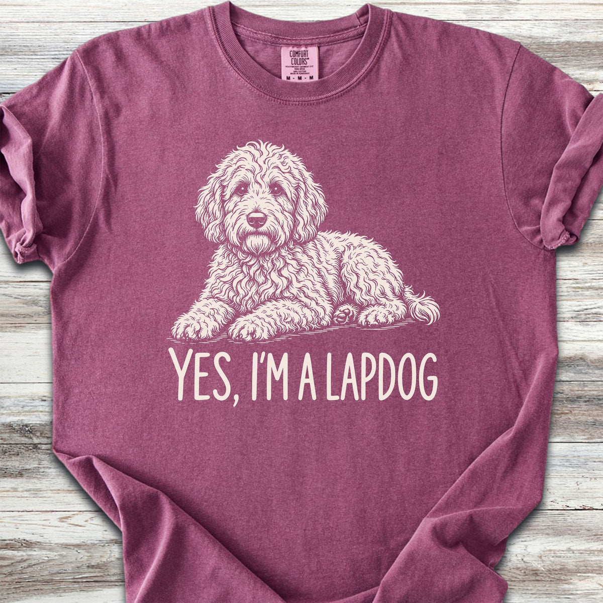 Goldendoodle Lapdog - Berry