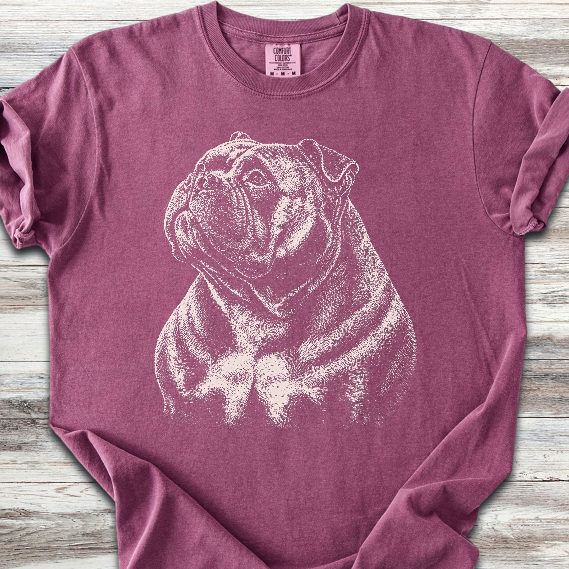 American Bully Loyalty - Berry