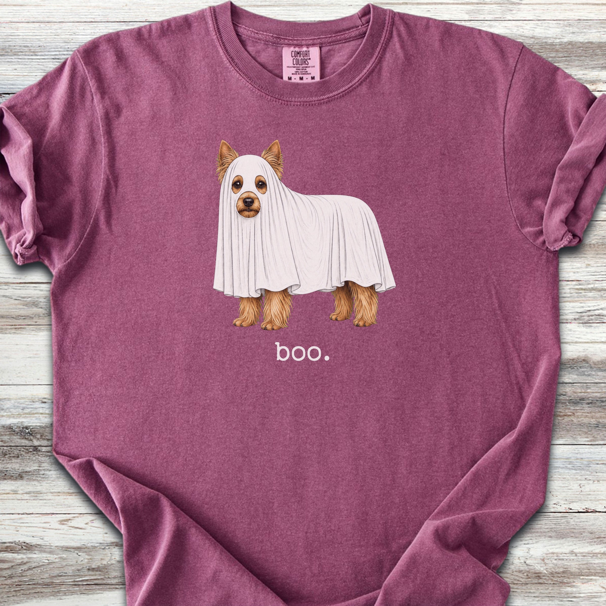 Yorkshire Terrier Boo - Berry