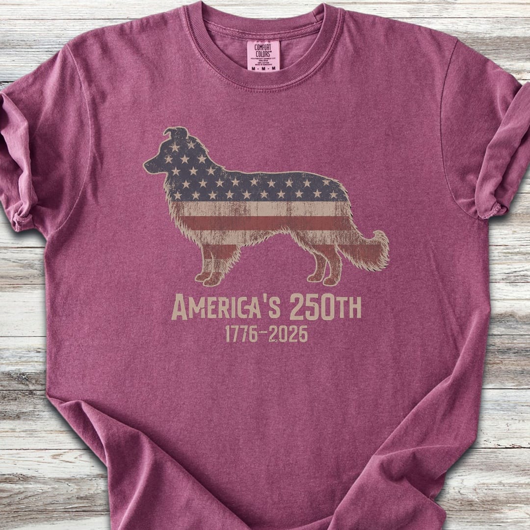 Border Collie 250 - Berry