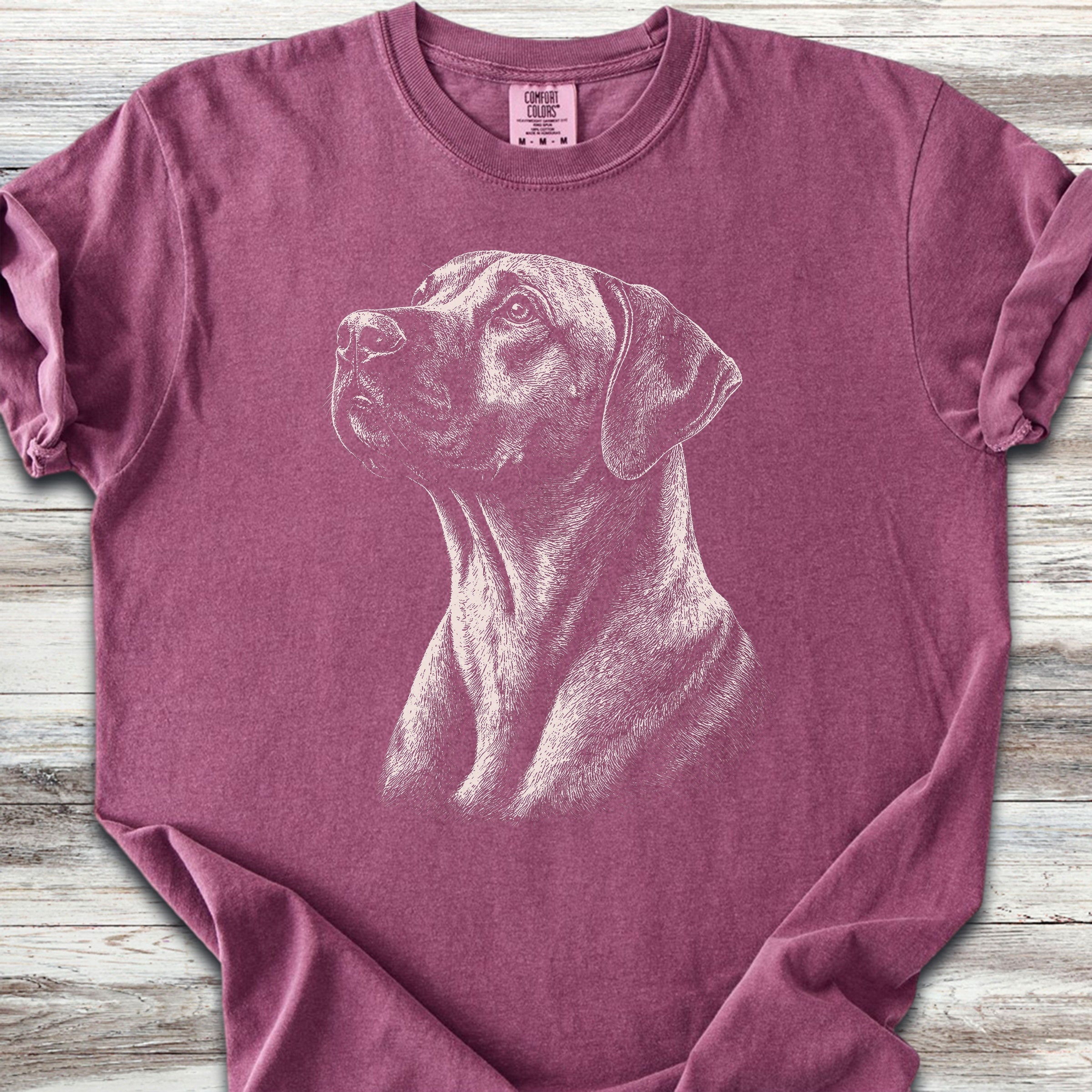 Rhodesian Ridgeback Loyalty - Berry