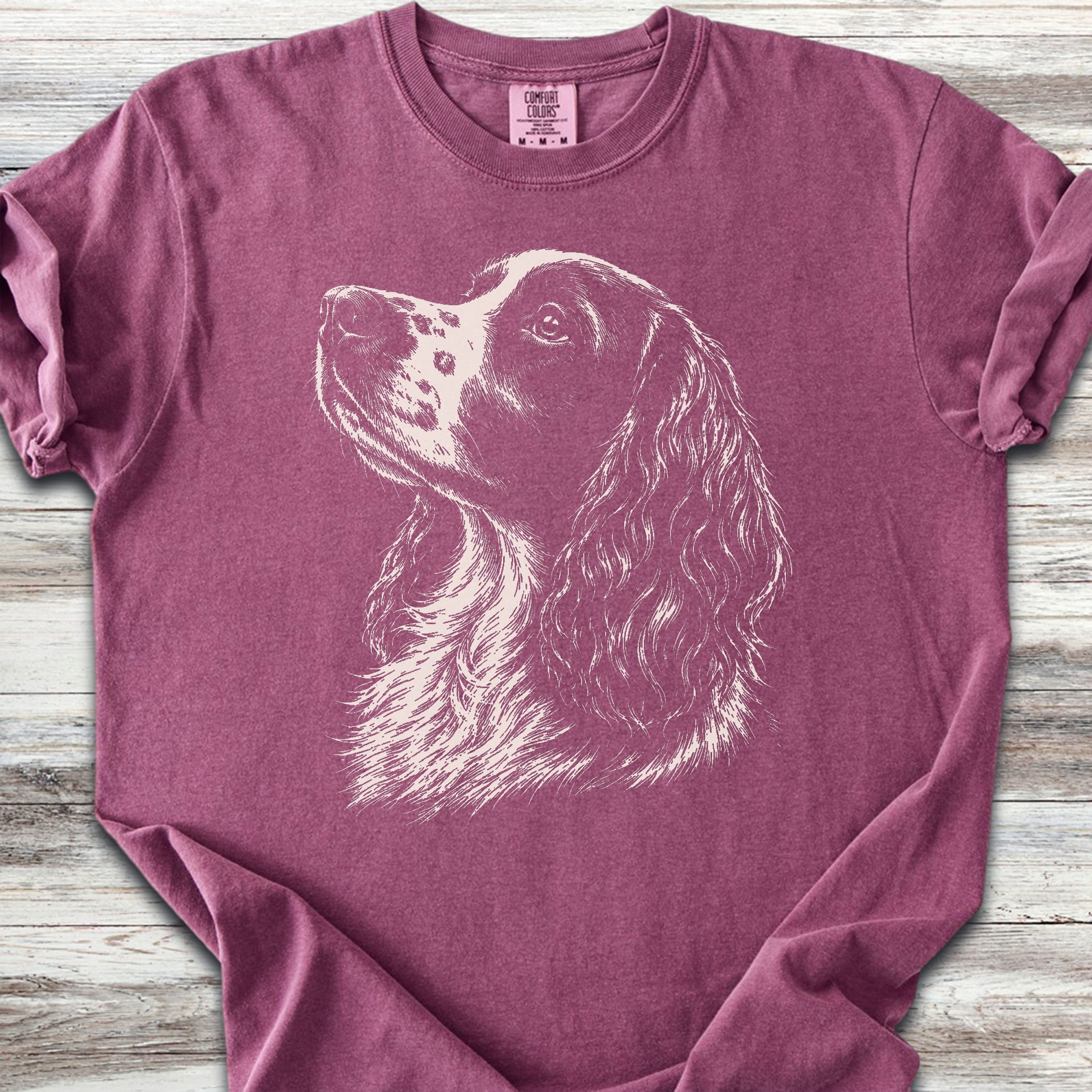 English Springer Spaniel Loyalty - Berry