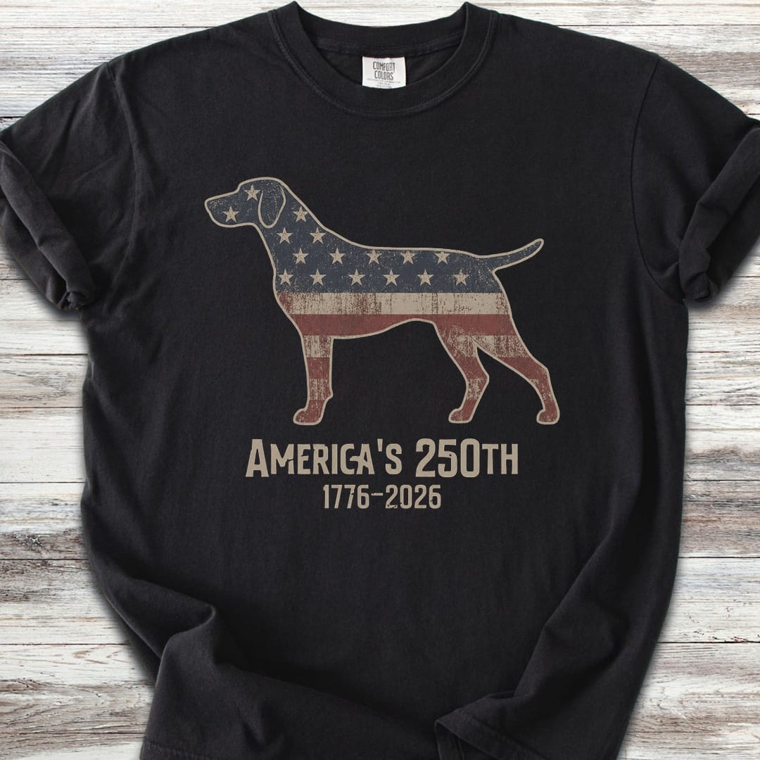 German Shorthaired Pointer 250 - Black
