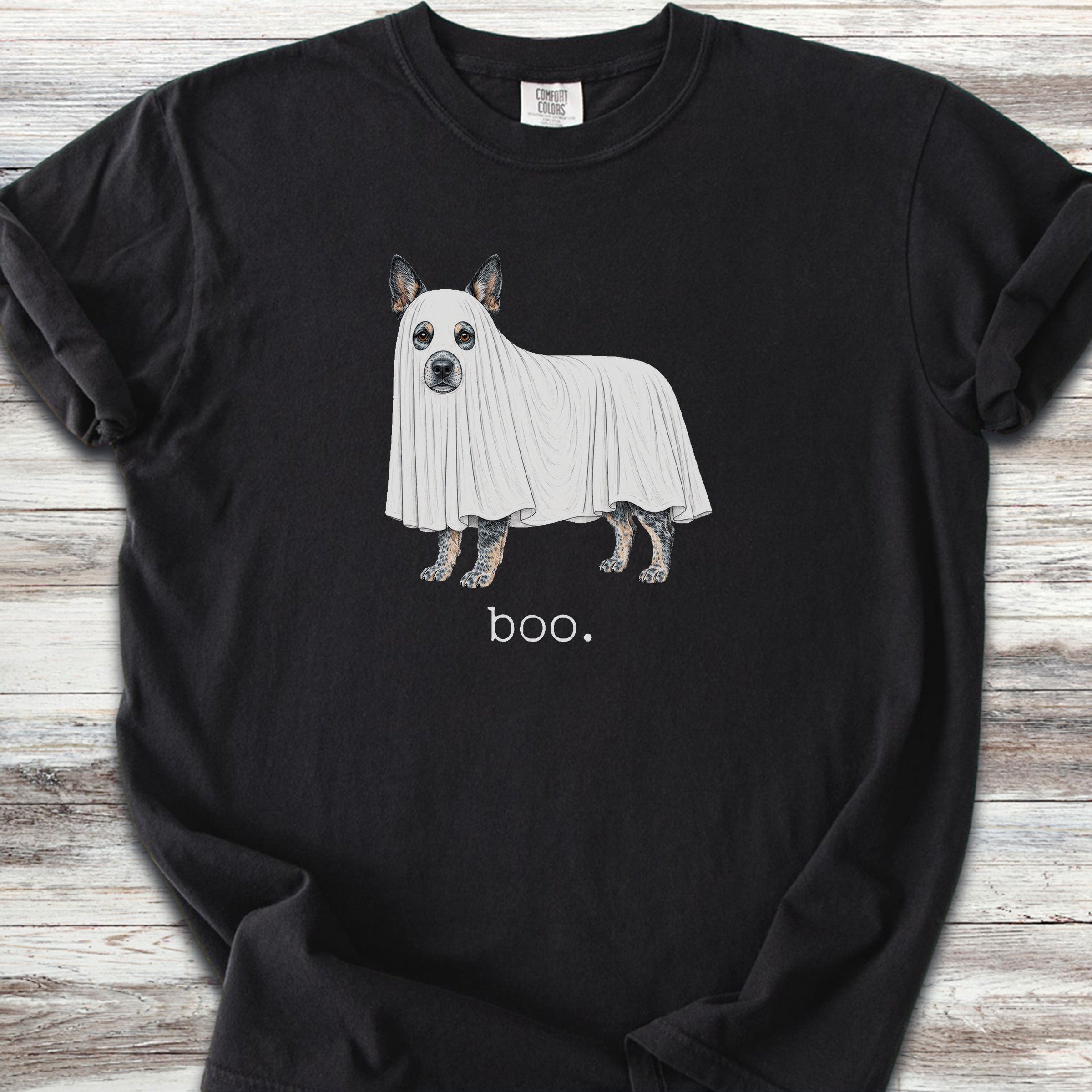 Australian Cattle Dog Boo - Black