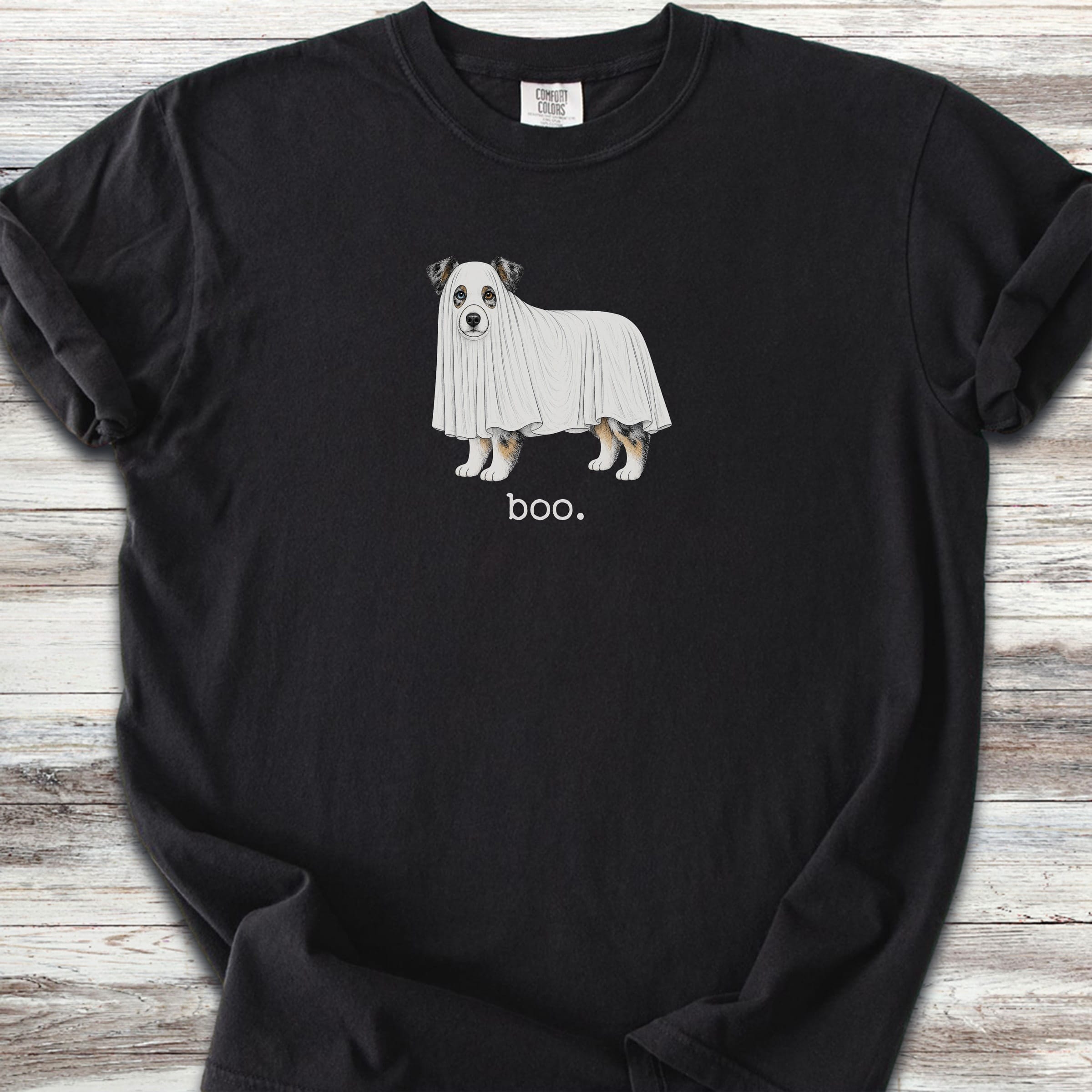 Australian Shepherd Boo - Black