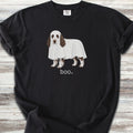English Springer Spaniel Boo - Black