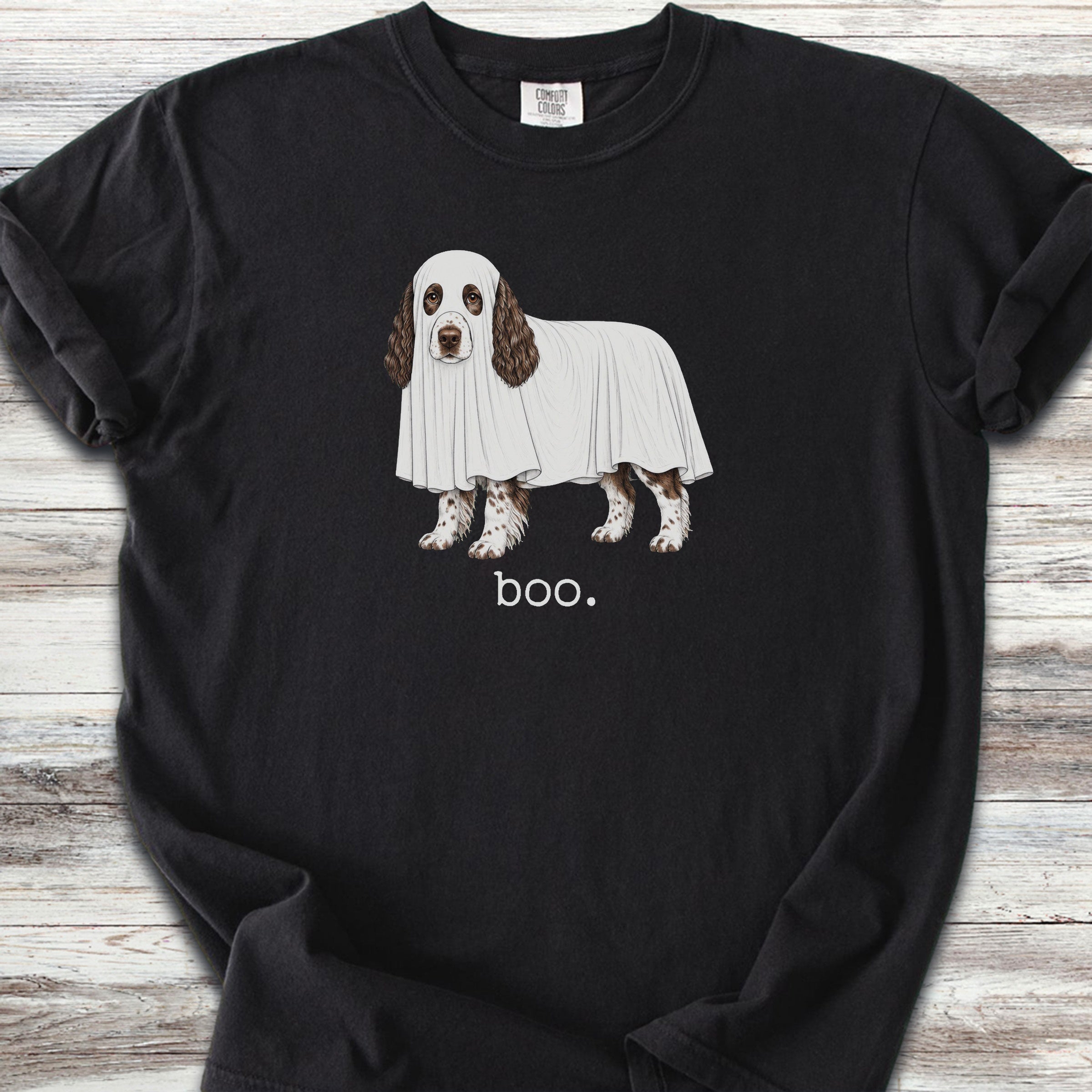 English Springer Spaniel Boo - Black
