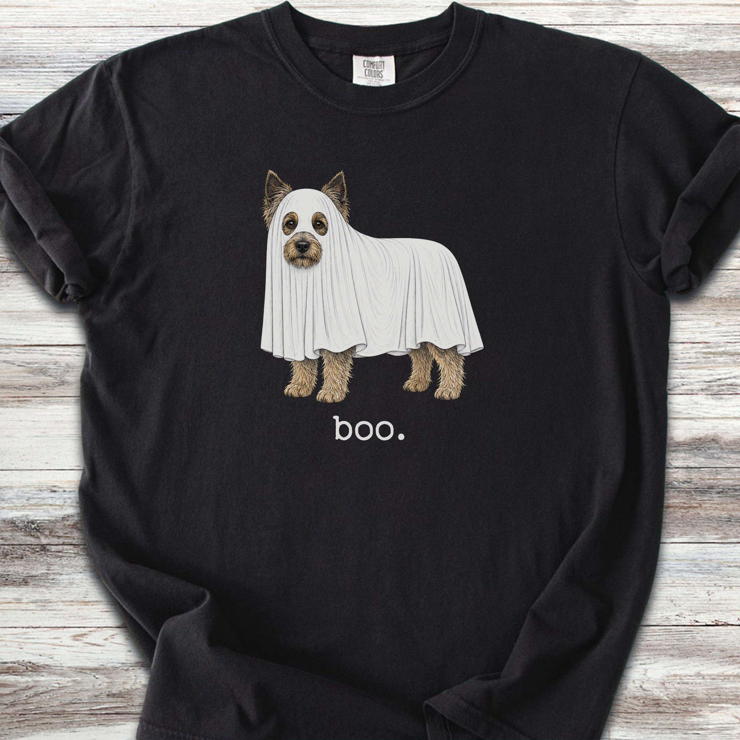 Cairn Terrier Boo - Black