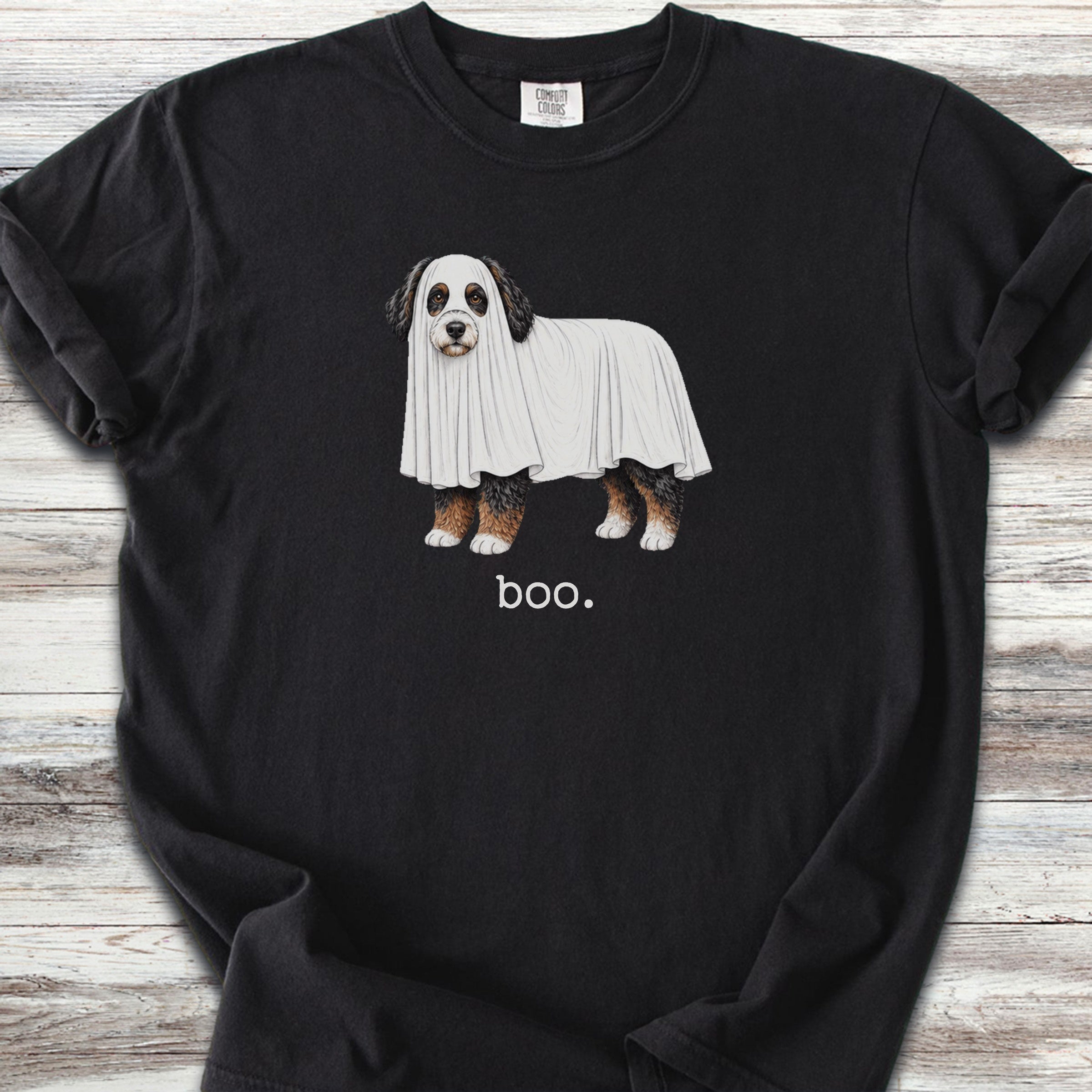 Bernedoodle Boo - Black
