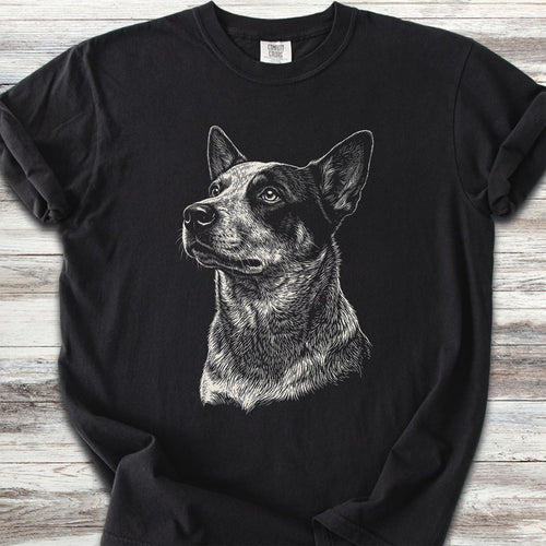Australian Cattle Dog Loyalty - Black