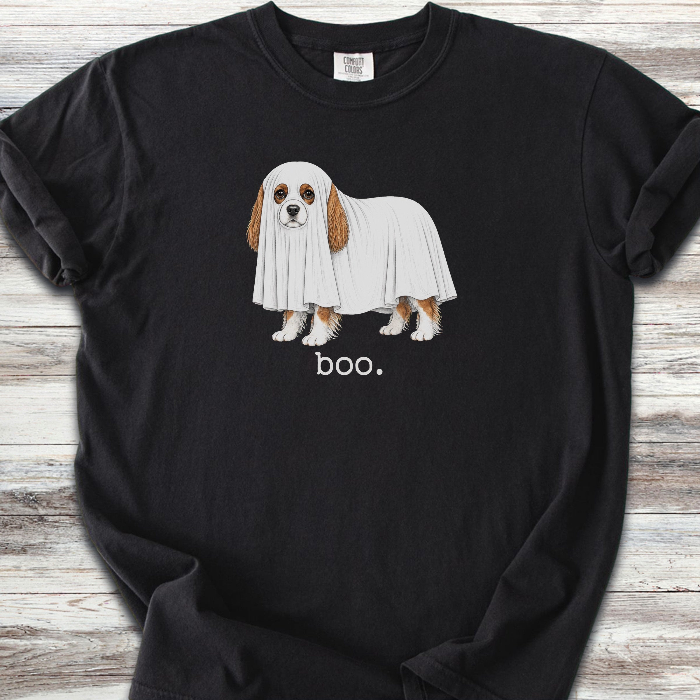 Cavalier King Charles Spaniel Boo - Black