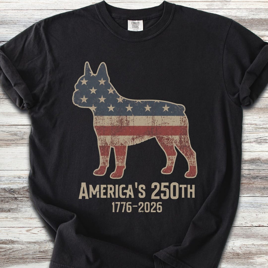 Boston Terrier 250 - Black