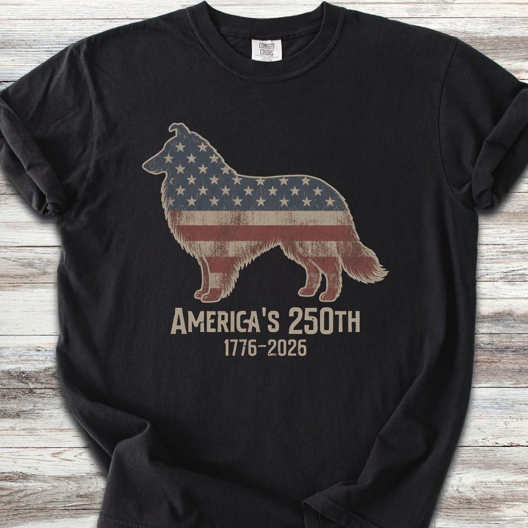 Rough Collie 250 - Black