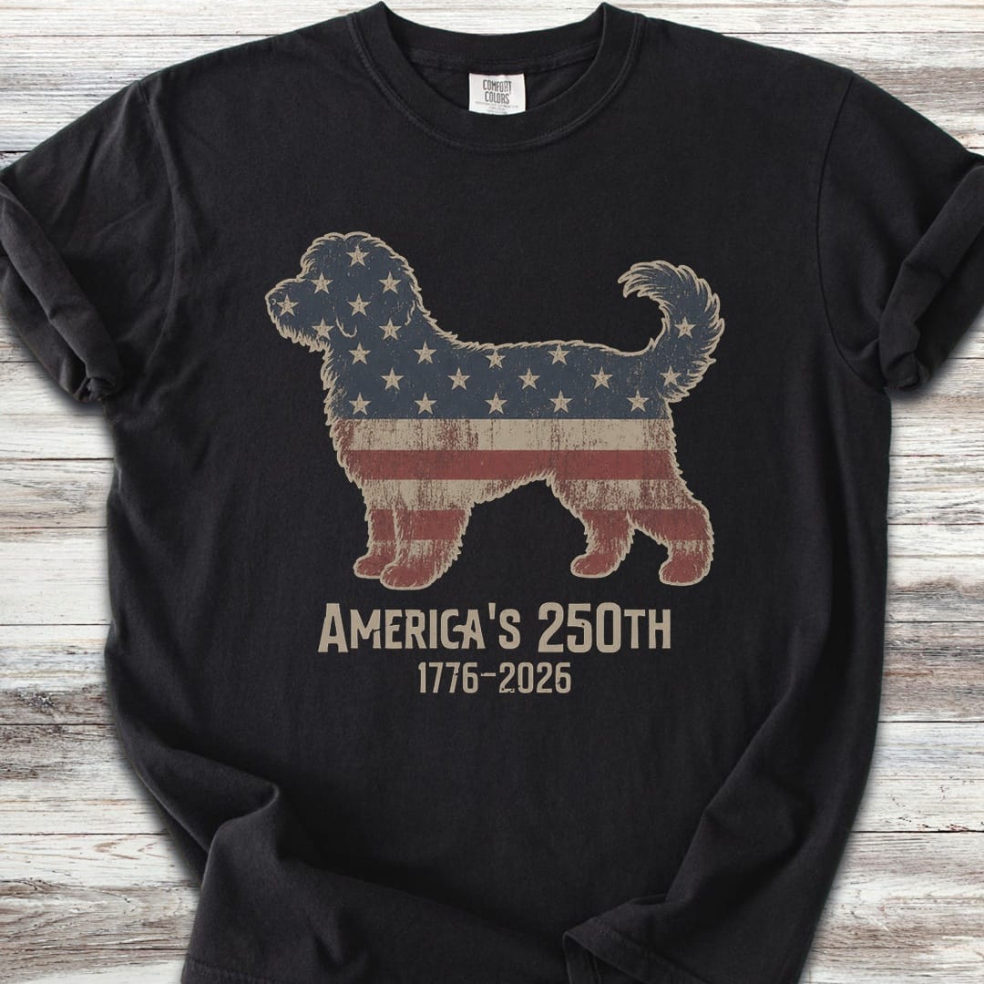 Aussiedoodle 250 - Black