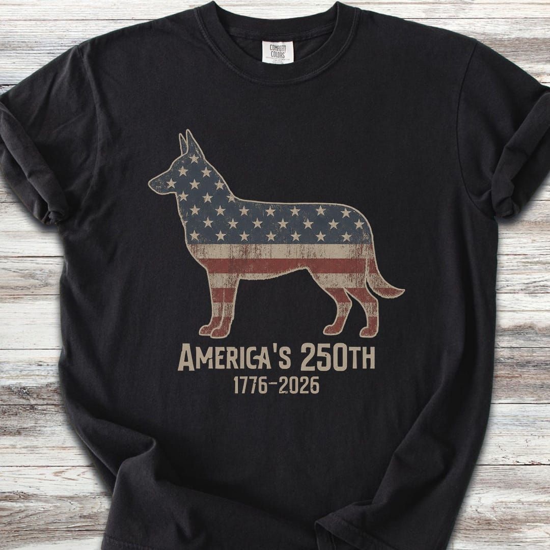 Belgian Malinois 250 - Black