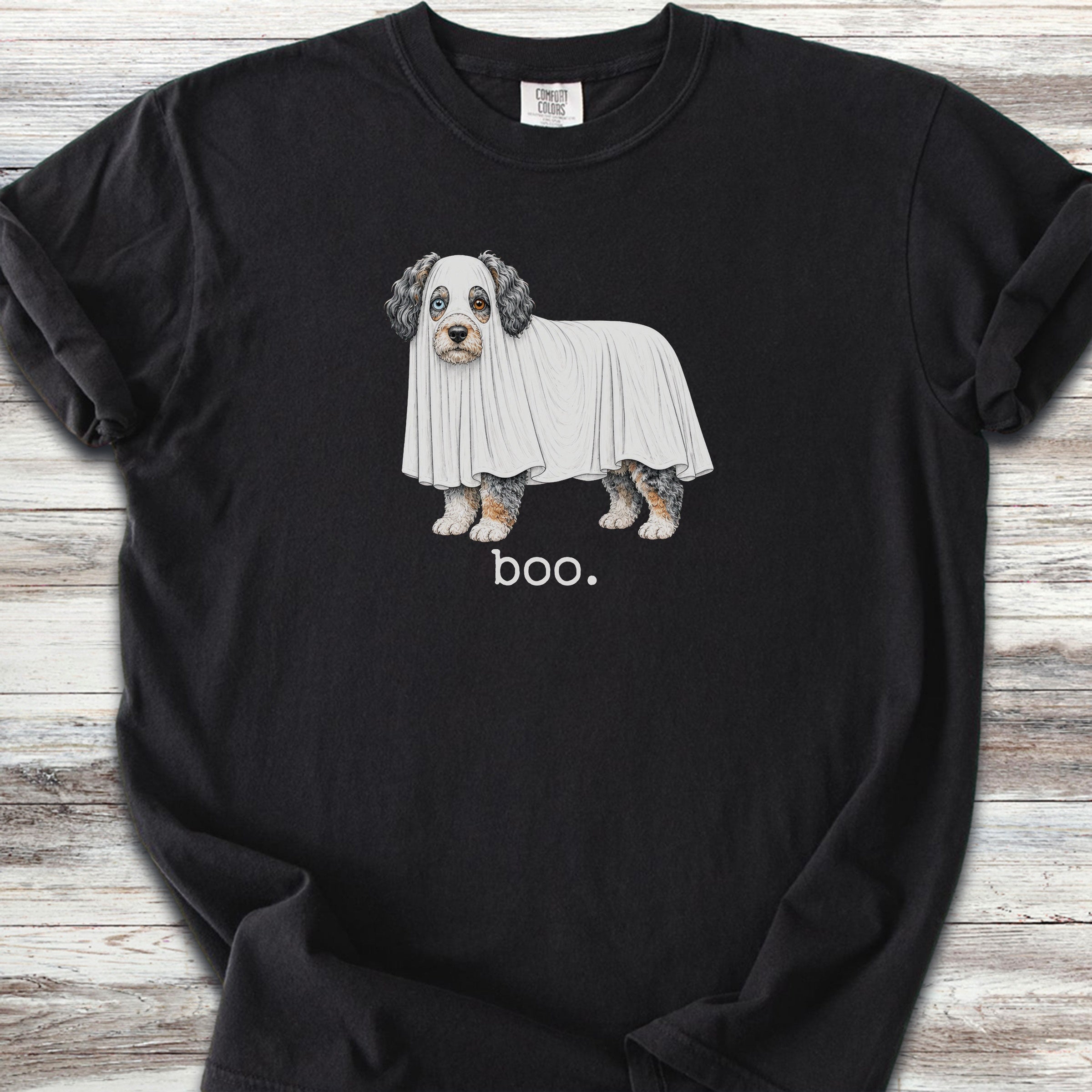 Aussiedoodle Boo - Black