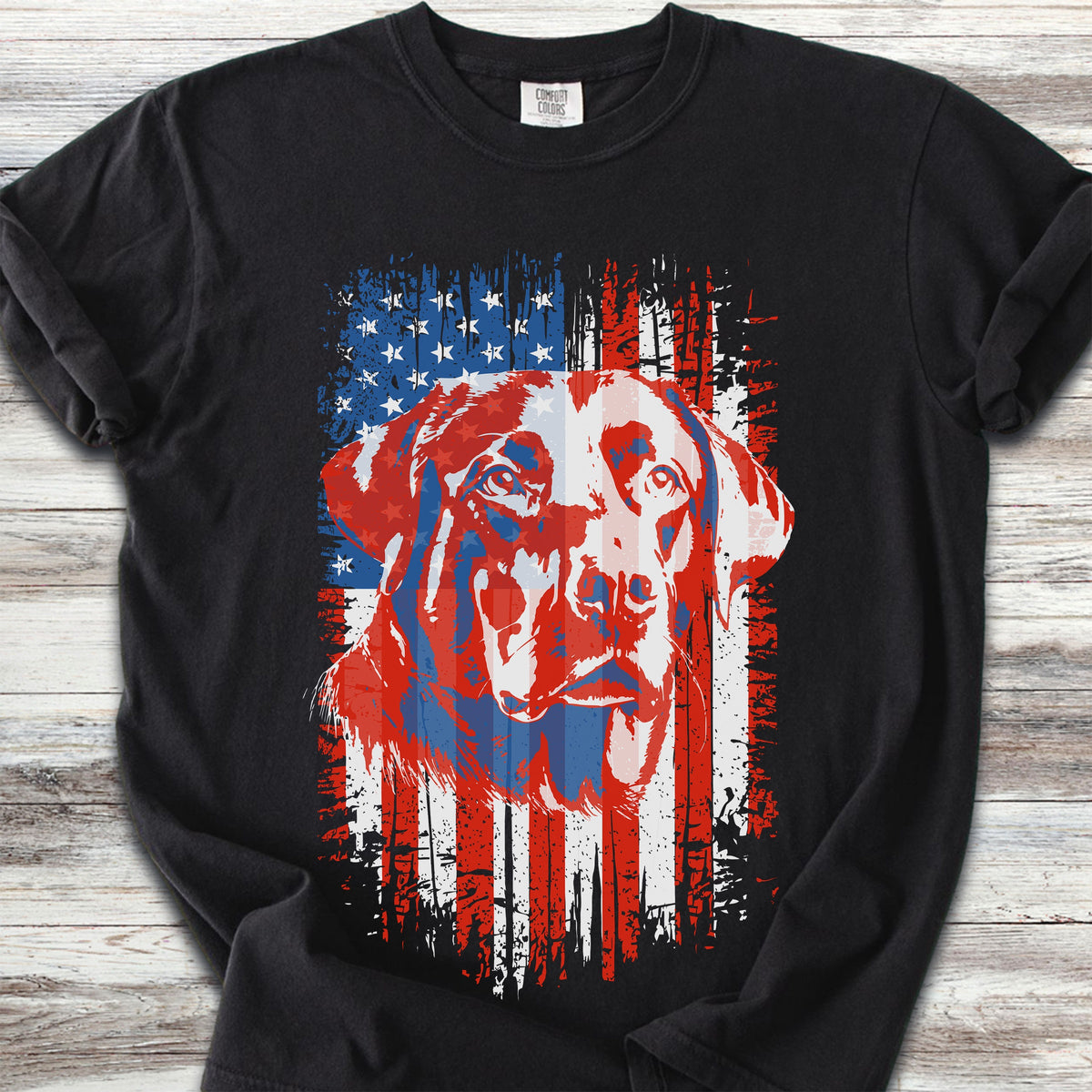 Labrador Retriever USA - Black