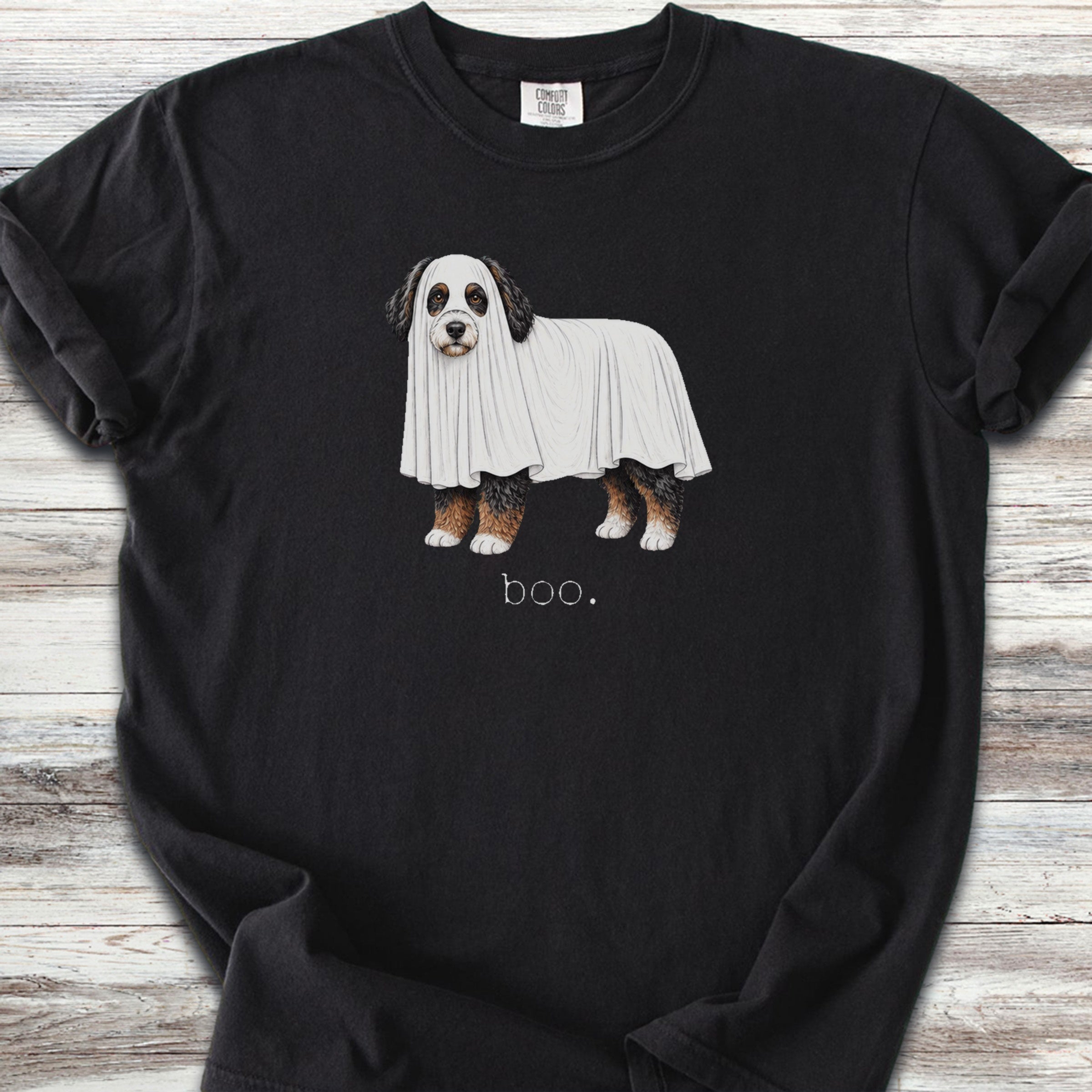 Bernedoodle Boo - Black