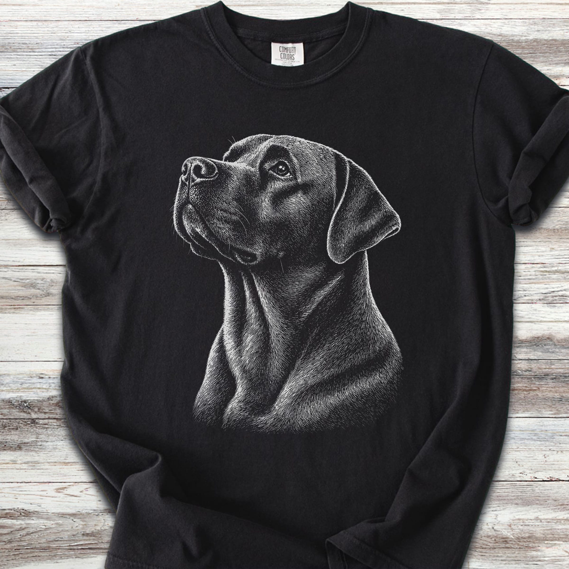Labrador Retriever Loyalty - Black