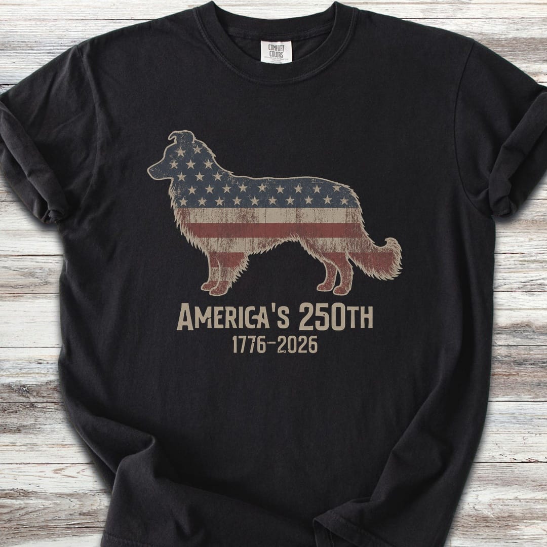 Border Collie 250 - Black