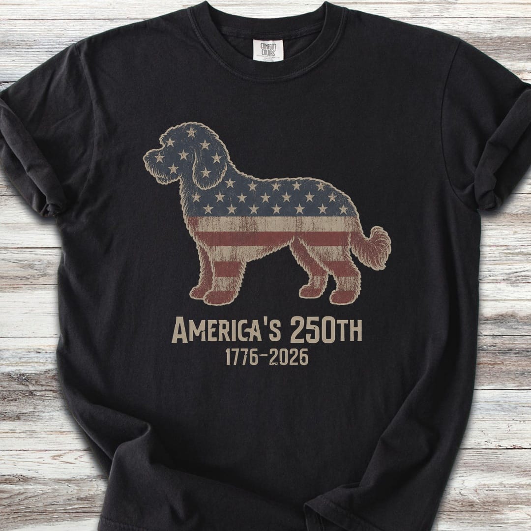 Labradoodle 250 - Black