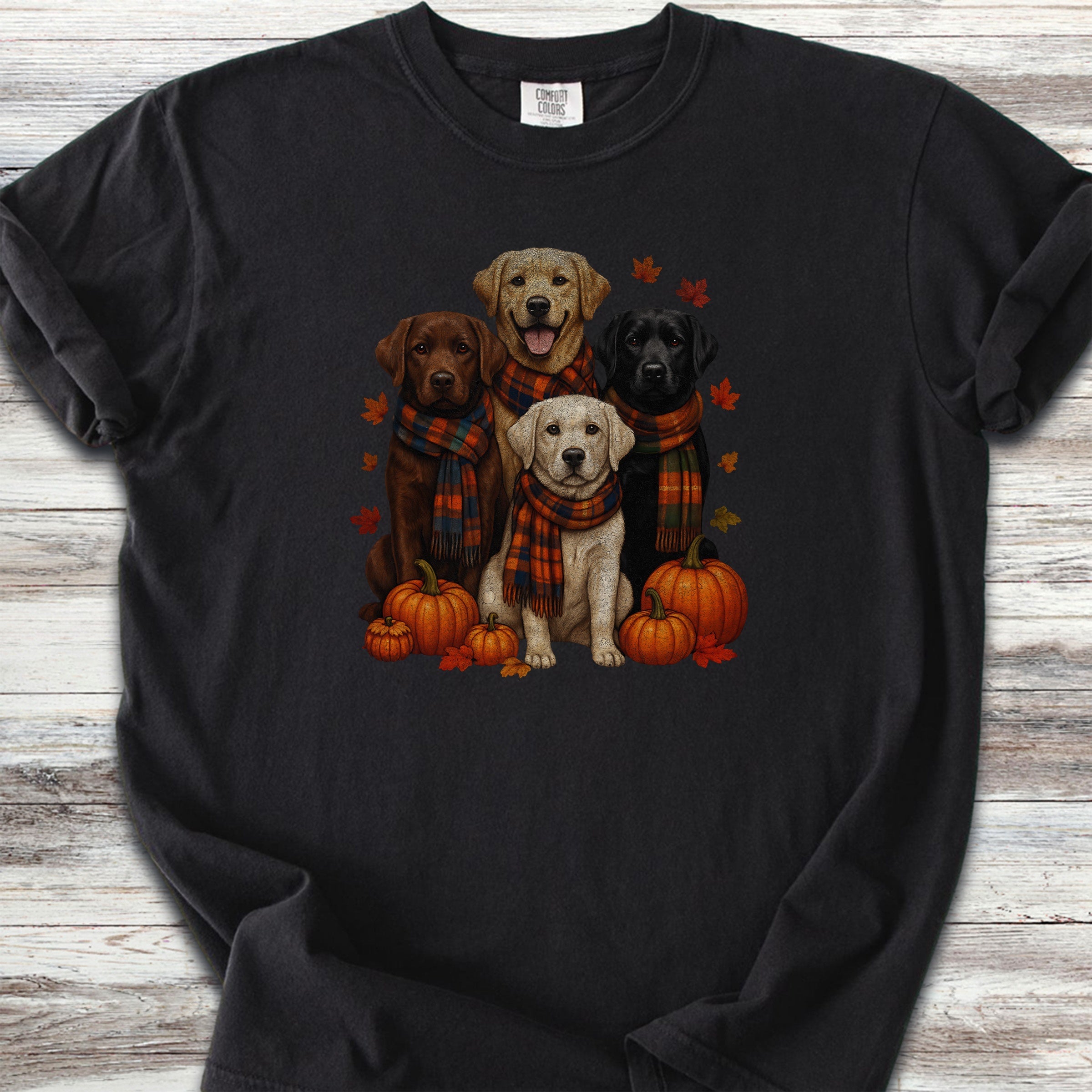 Labrador Retriever Fall - Black