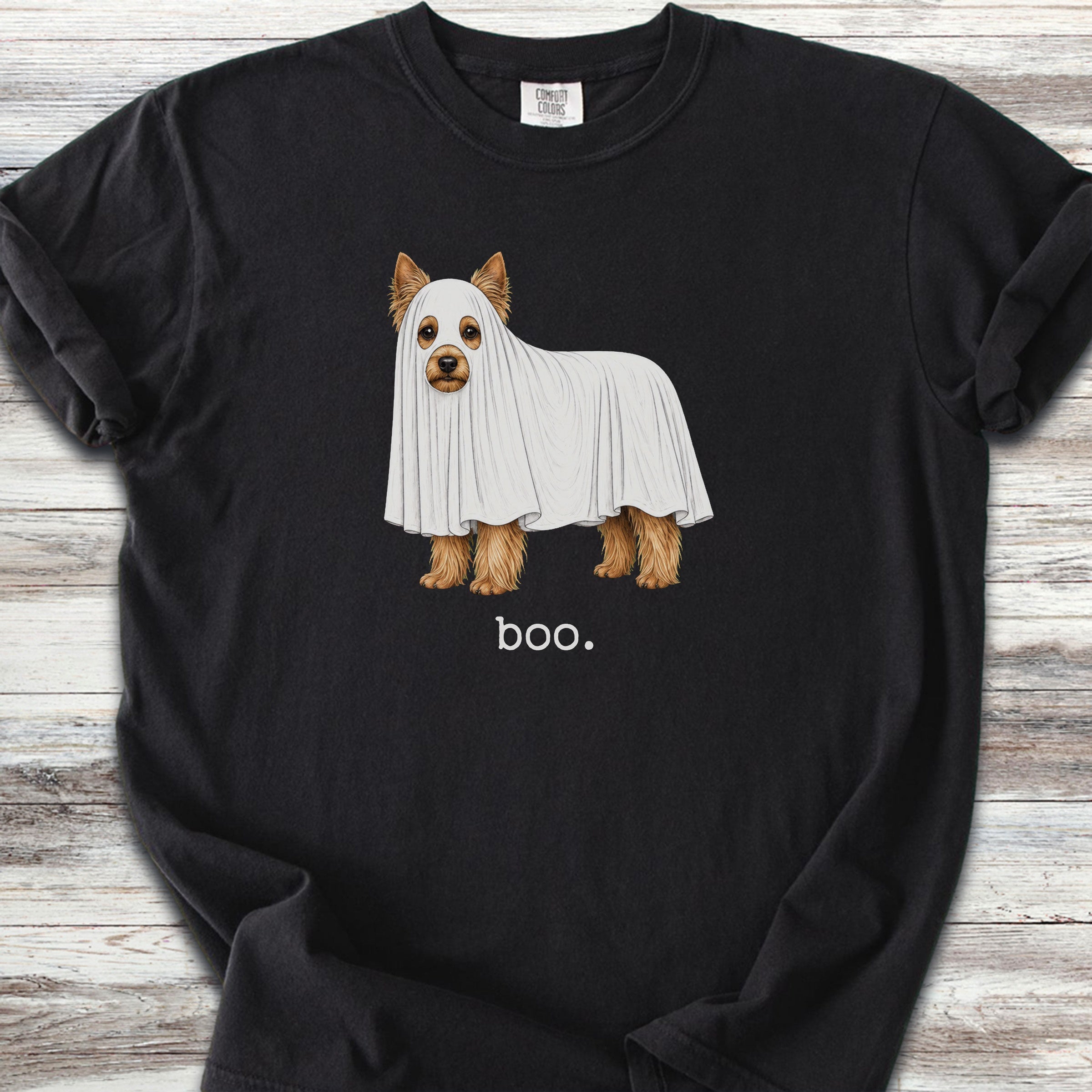Yorkshire Terrier Boo - Black