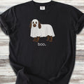 Boykin Spaniel Boo - Black
