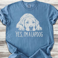 Labrador Retriever Yellow Lapdog - Blue Jean