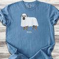 Presa Canario Boo - Blue Jean