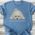 Maltipoo Nope - Blue Jean